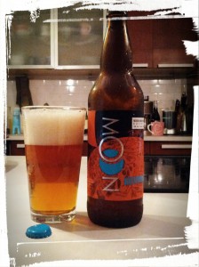 Tasty IPA from Moon Under Water Brewery